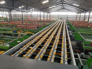 Jupiter Group secures partnership with traceability provider DiMuto