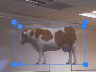 UK’s newest vet school welcomes its first students